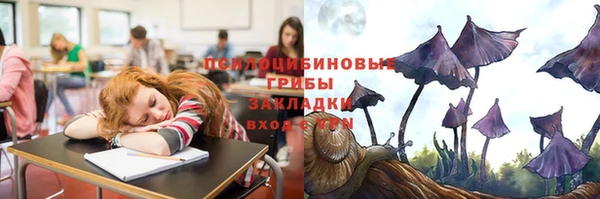 mix Бородино