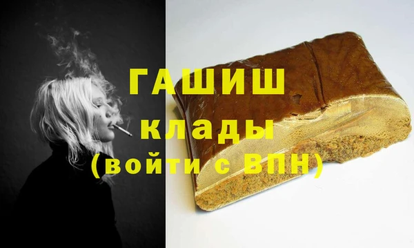 сатива Беломорск