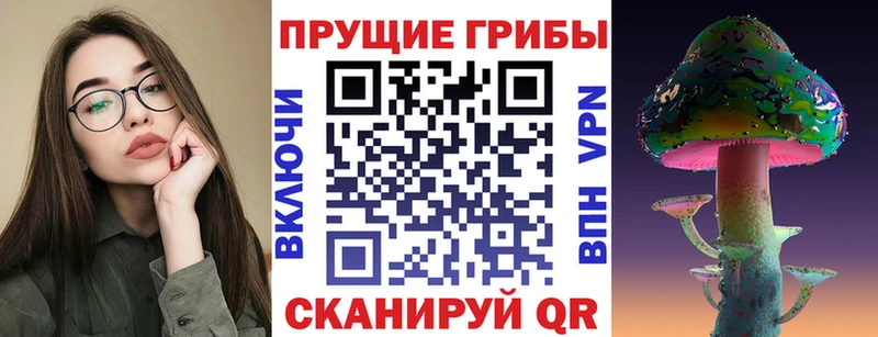 Псилоцибиновые грибы Psilocybine cubensis  Гулькевичи 